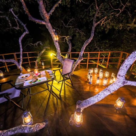 Tribe Yala - Luxury Camping Luaran gambar