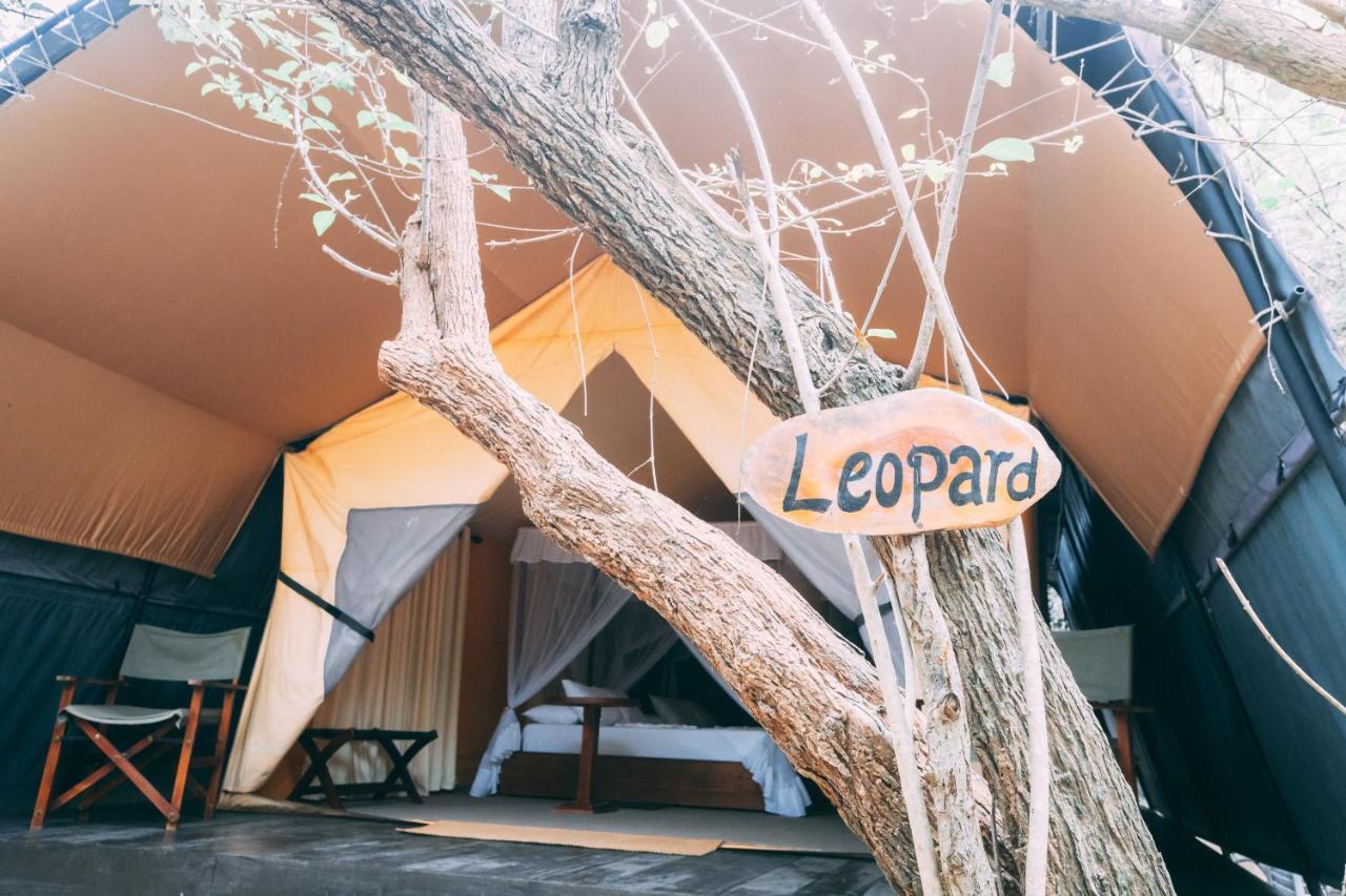 Tribe Yala - Luxury Camping Luaran gambar