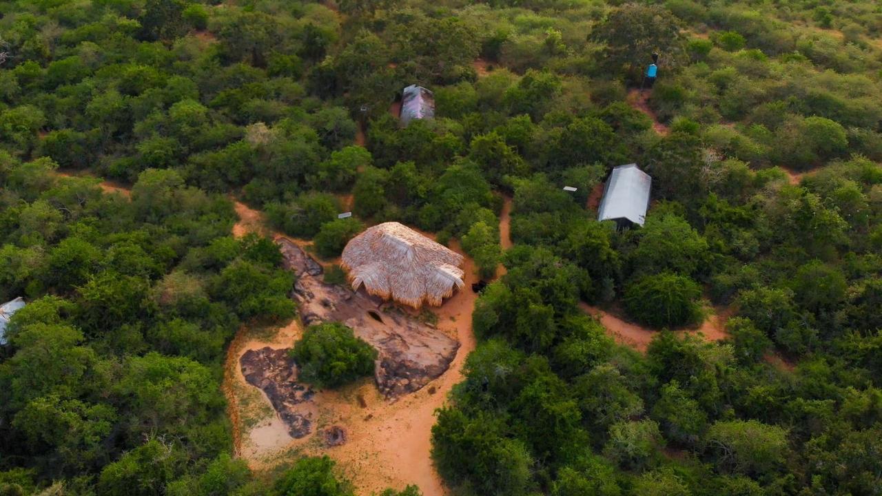 Tribe Yala - Luxury Camping Luaran gambar
