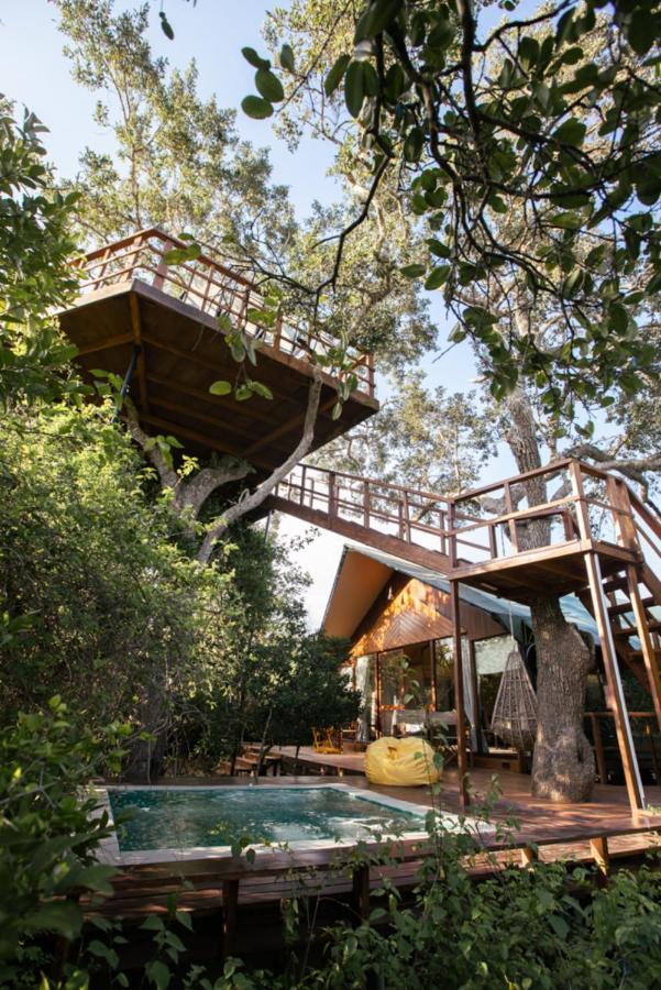 Tribe Yala - Luxury Camping Luaran gambar