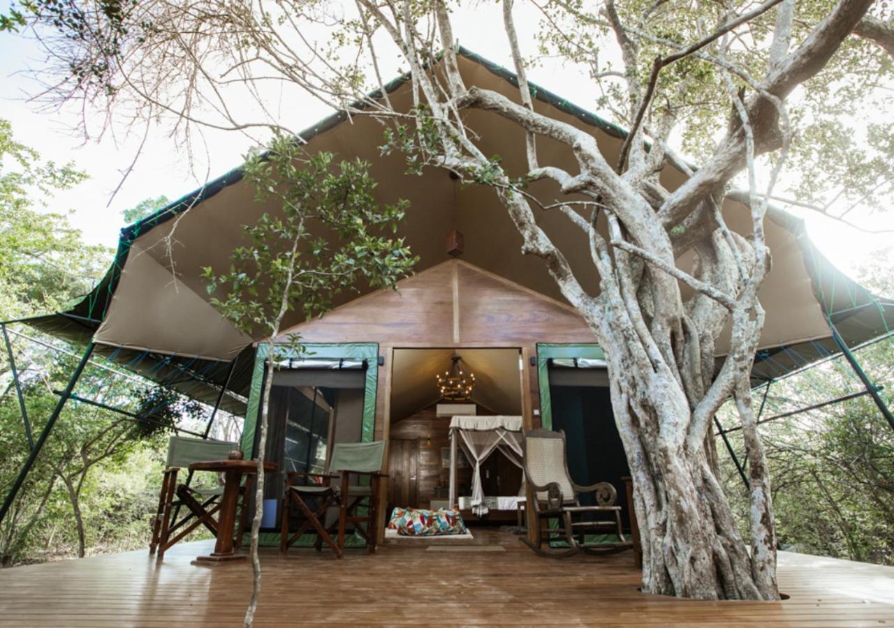 Tribe Yala - Luxury Camping Luaran gambar