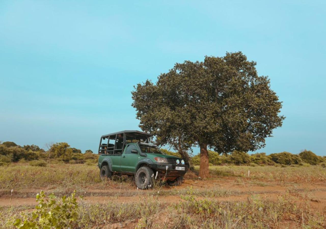 Tribe Yala - Luxury Camping Luaran gambar