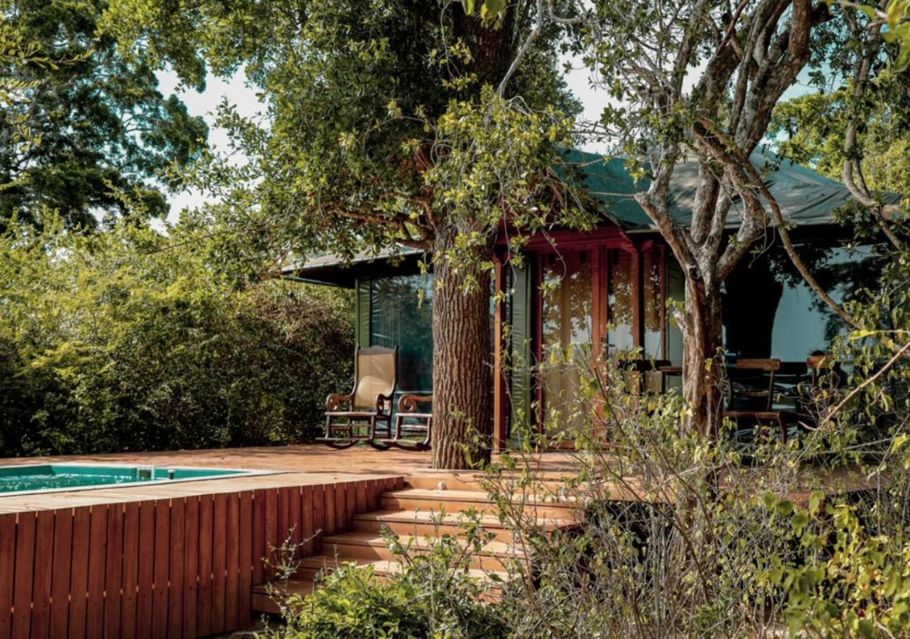 Tribe Yala - Luxury Camping Luaran gambar