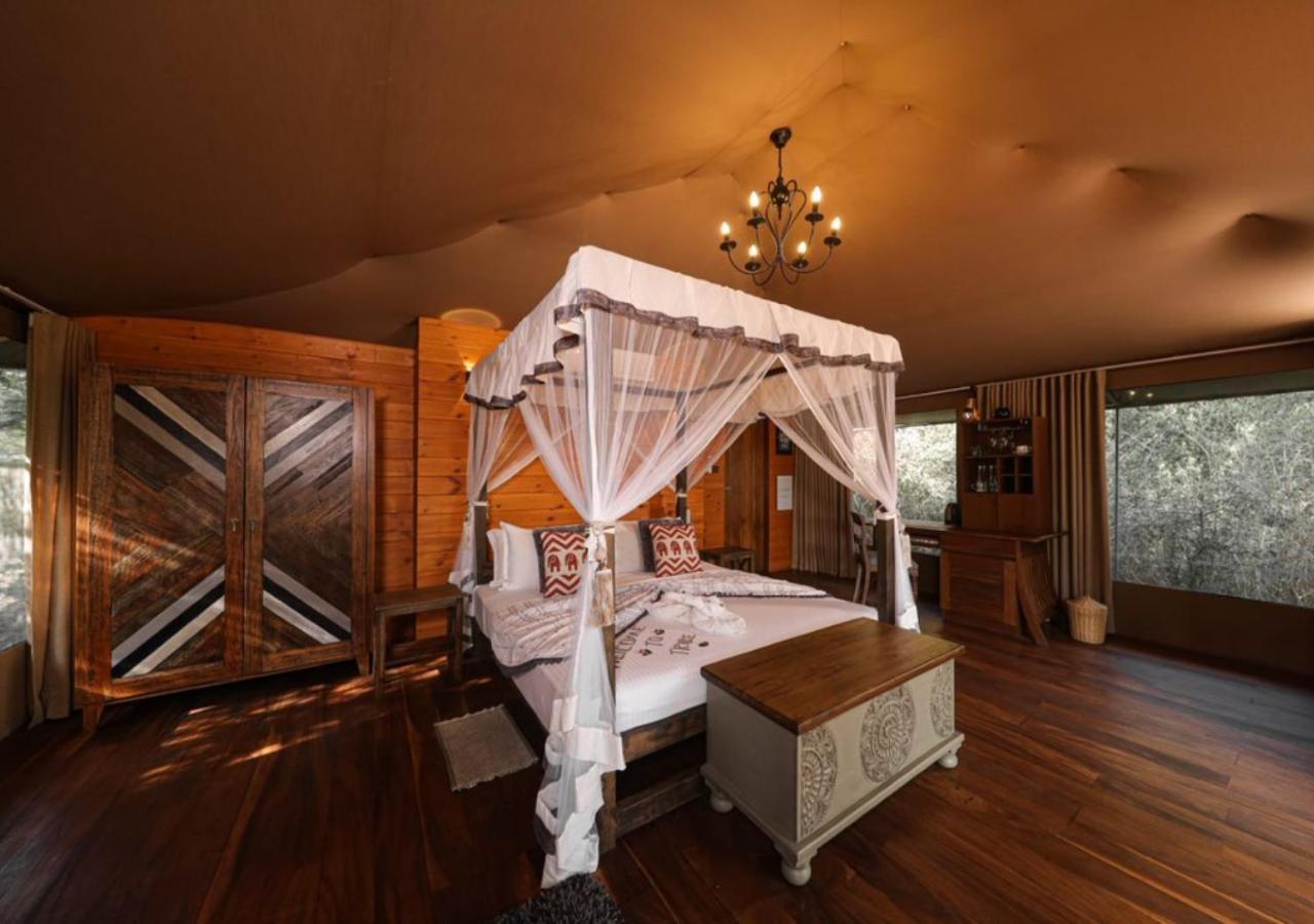 Tribe Yala - Luxury Camping Luaran gambar