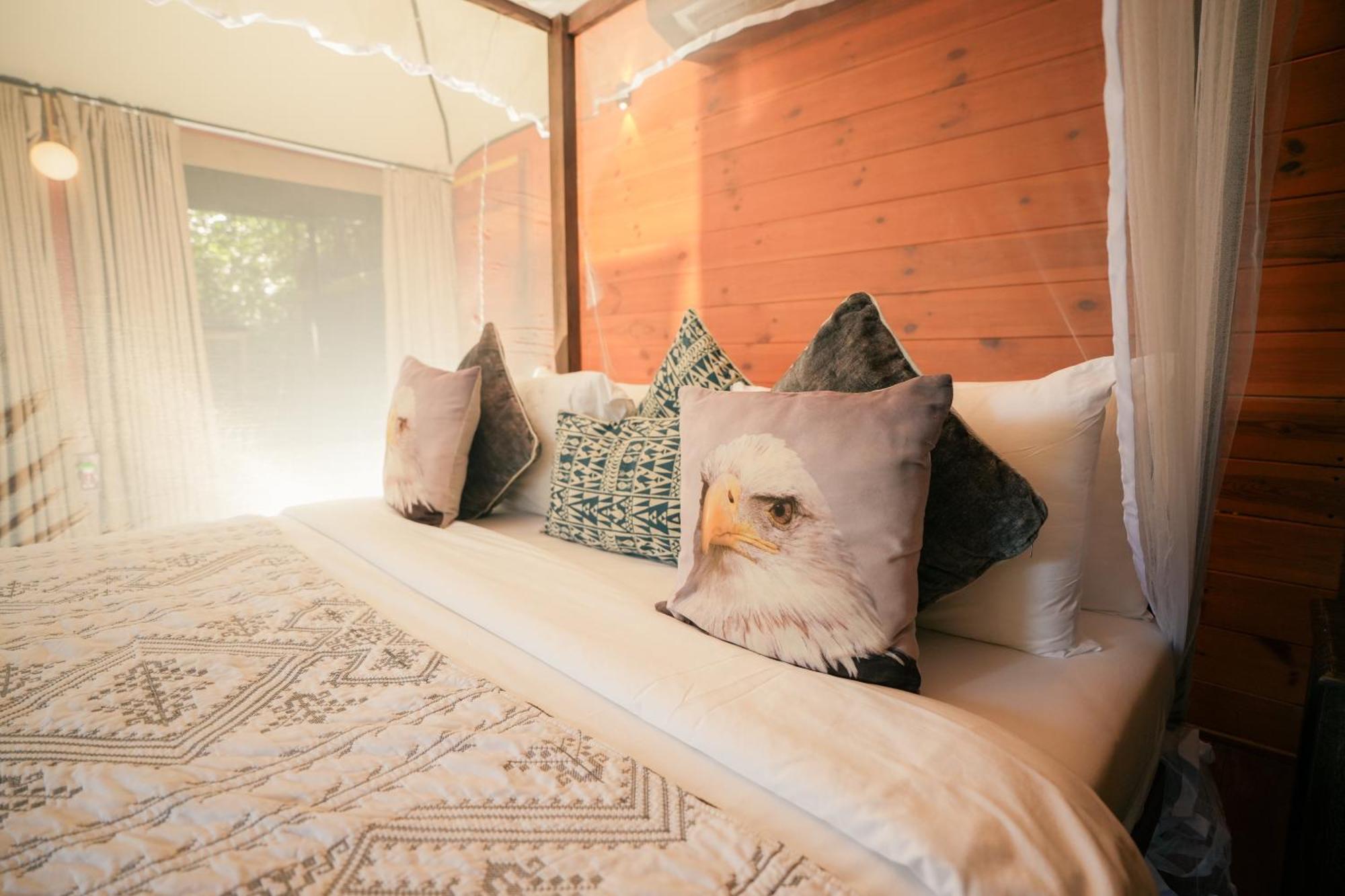 Tribe Yala - Luxury Camping Luaran gambar